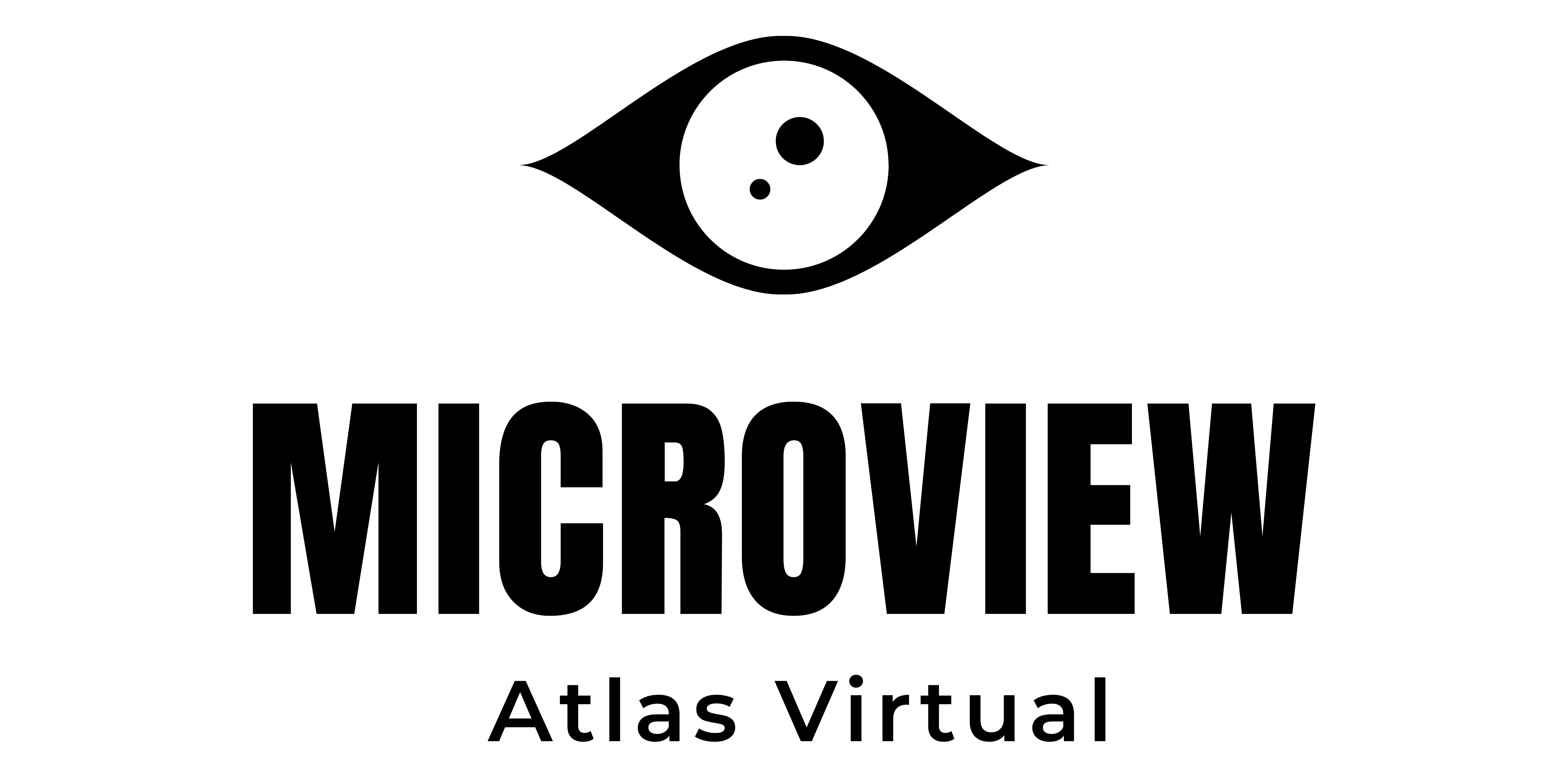 Black on White logo